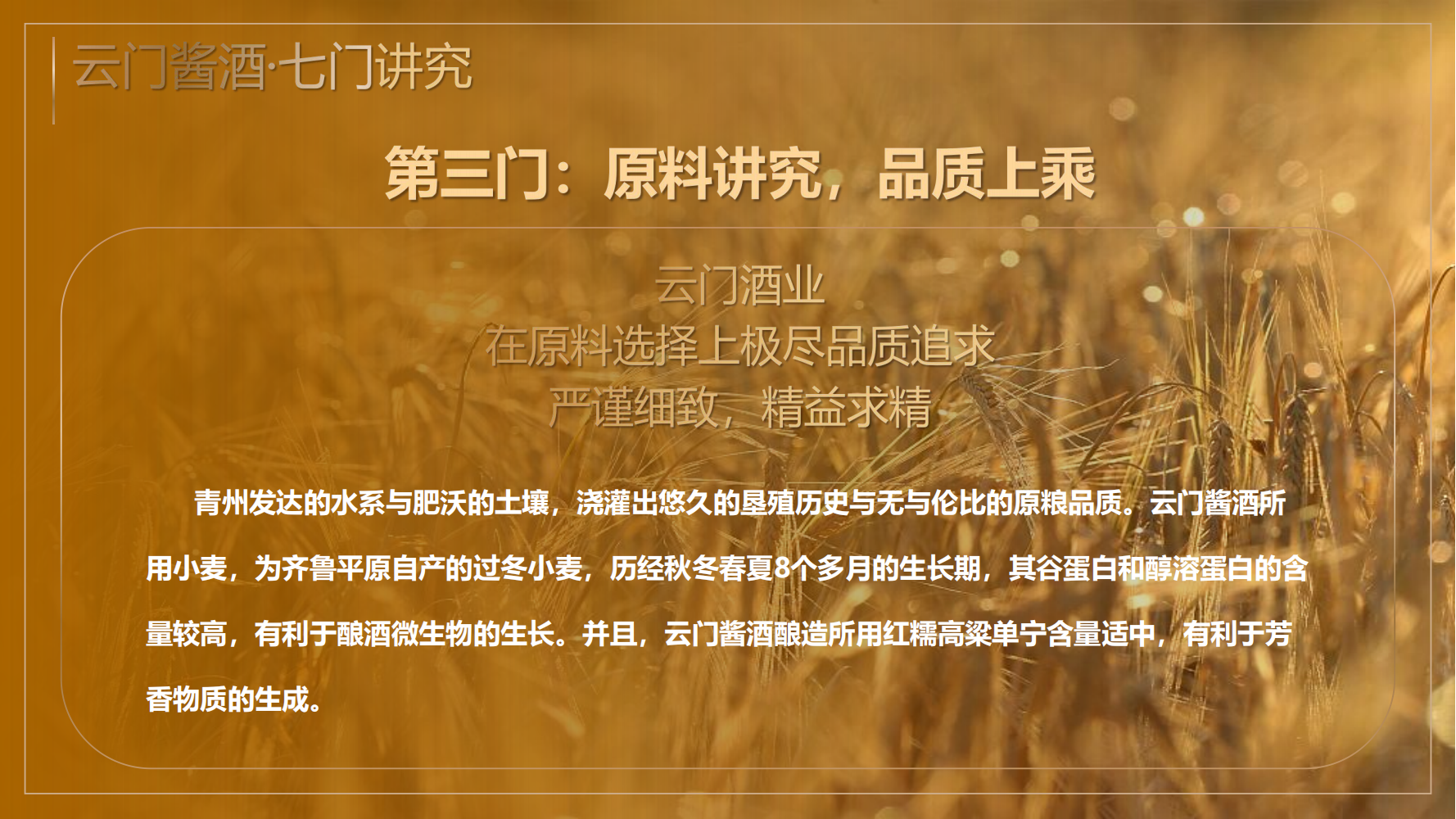 云门酒业产品手册_20250515203142_05