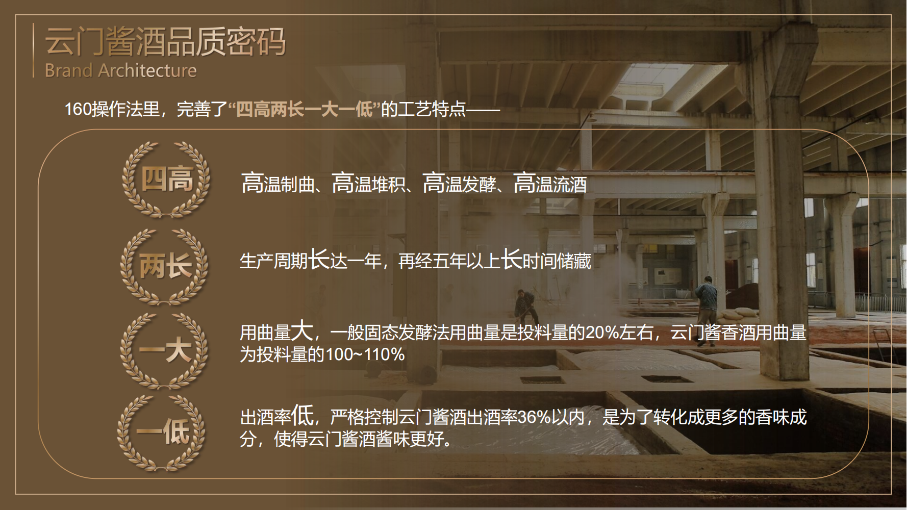 云门酒业产品手册_20250515203142_02